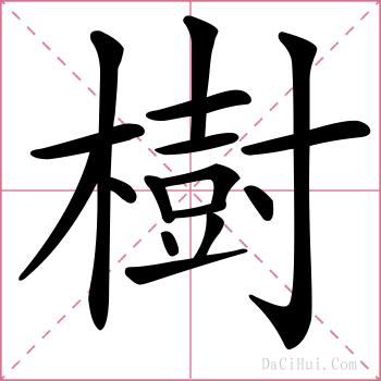 樹的解释