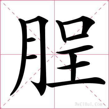 脭的解释