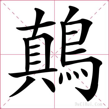 鷏的解释