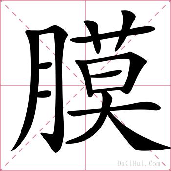 膜的解释
