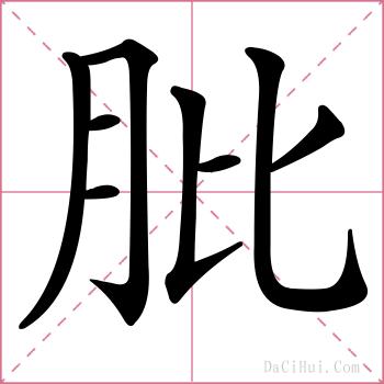 肶的解释