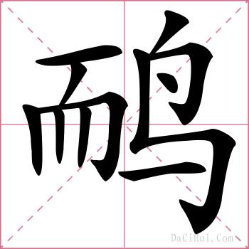 鸸的解释