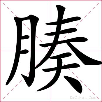 腠的解释