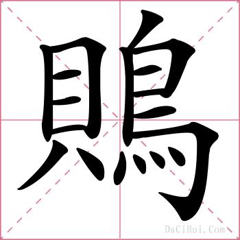 鵙的解释