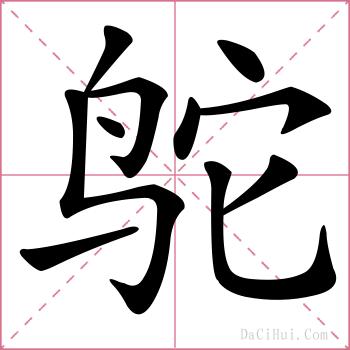 鸵的解释