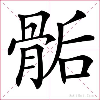 骺的解释