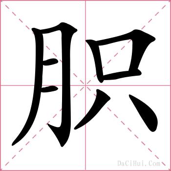 胑的解释