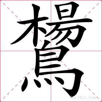鸉的解释