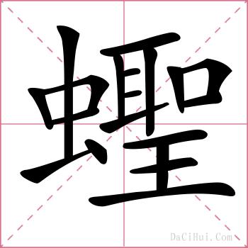 蟶的解释