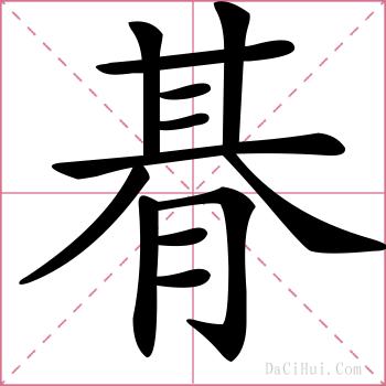 朞的解释