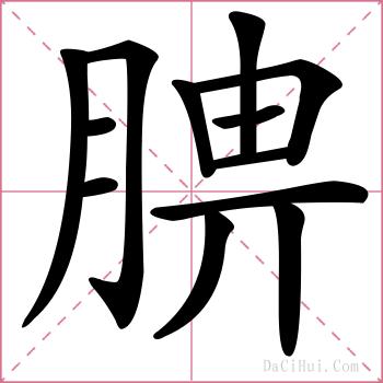 腗的解释