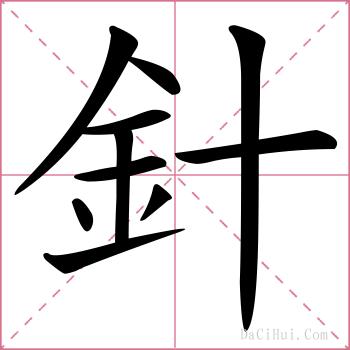 針的解释