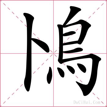 鳪的解释