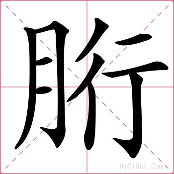 胻的解释
