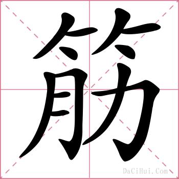 筋的解释
