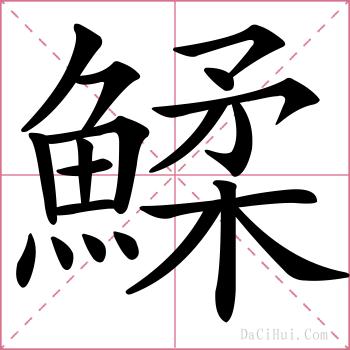 鰇的解释
