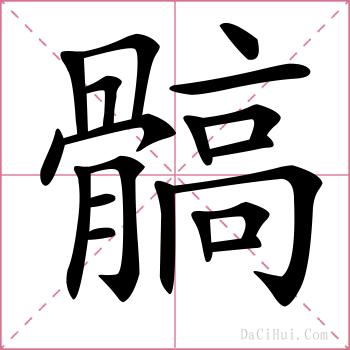 髇的解释