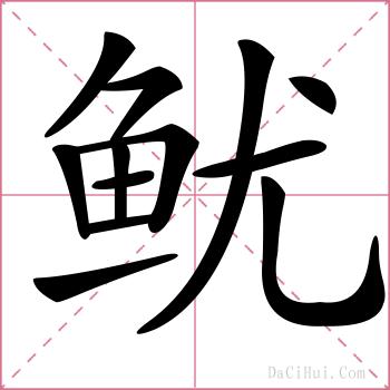 鱿的解释