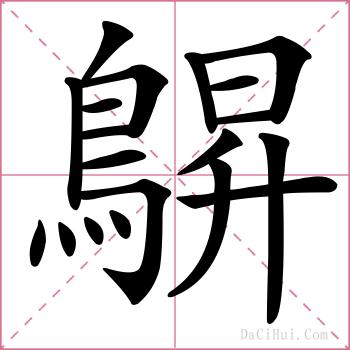 鵿的解释