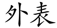 外表的解释