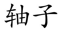 轴子的解释