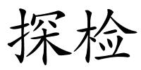 探检的解释