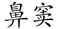 鼻窦的解释