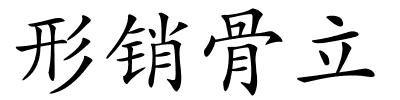 形销骨立的解释