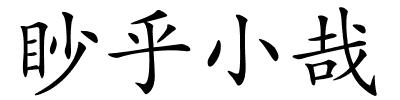 眇乎小哉的解释