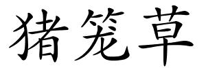 猪笼草的解释