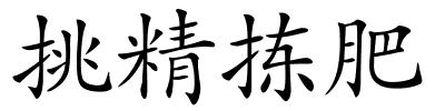 挑精拣肥的解释