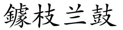 鐻枝兰鼓的解释
