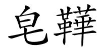 皂鞾的解释