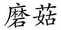 磨菇的解释