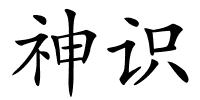 神识的解释