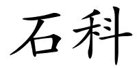 石科的解释