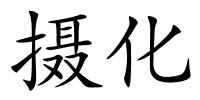摄化的解释
