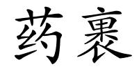 药裹的解释
