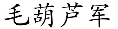 毛葫芦军的解释
