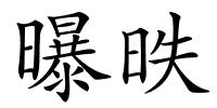 曝昳的解释