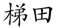 梯田的解释