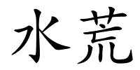水荒的解释