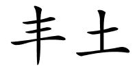 丰土的解释