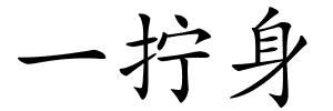 一拧身的解释