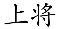 上将的解释