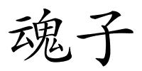 魂子的解释