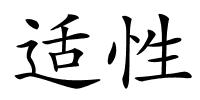 适性的解释