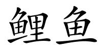 鲤鱼的解释