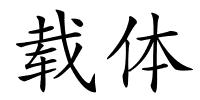 载体的解释