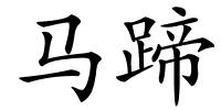 马蹄的解释